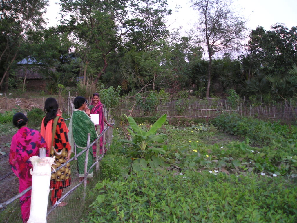 Kitchen Garden